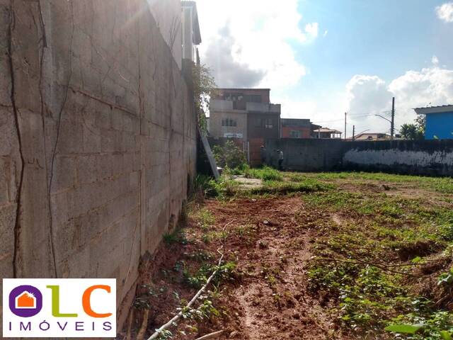 #1622 - Terreno para Venda em São Paulo - SP - 3