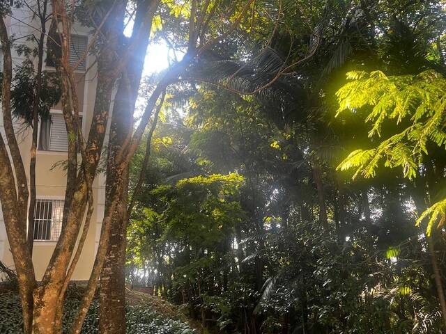 Apartamento para Locação em São Paulo - 2