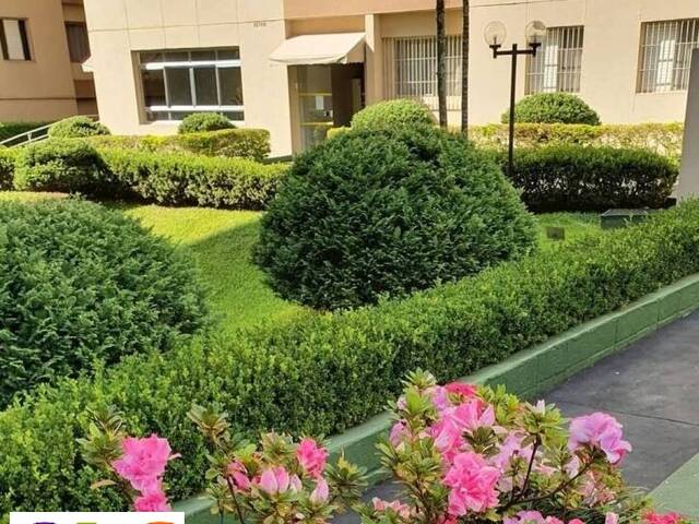 #26474 - Apartamento para Venda em São Paulo - SP - 2